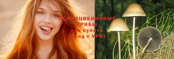 амф Нефтекумск