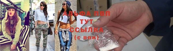 скорость Новозыбков