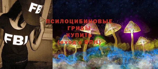 ALPHA PVP Новодвинск