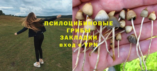 ALPHA PVP Новодвинск