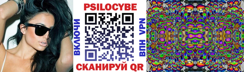 Псилоцибиновые грибы Psilocybine cubensis  Чита 