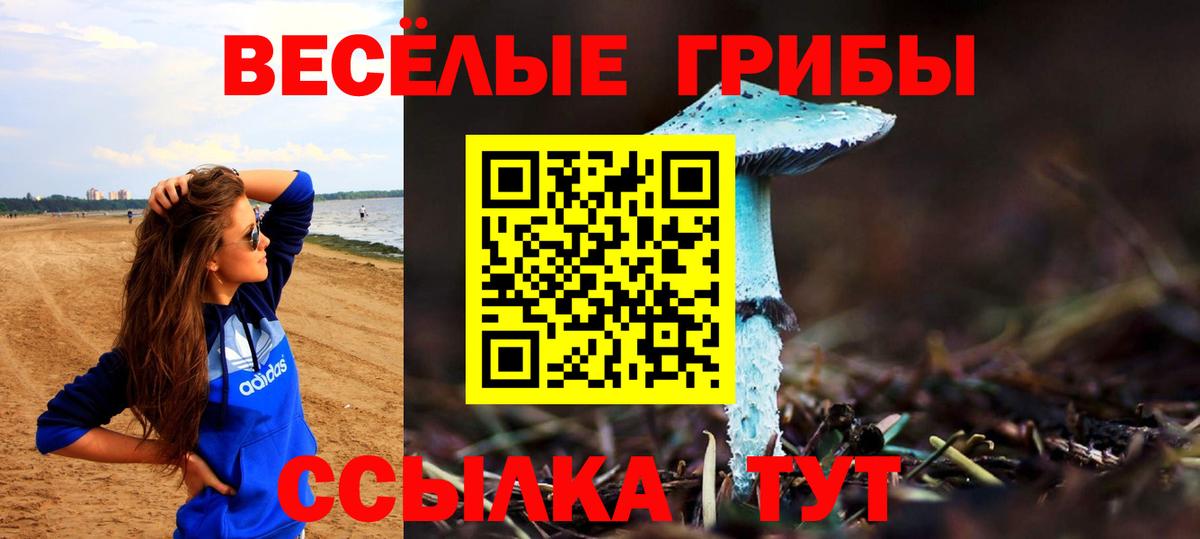 Псилоцибиновые грибы Psilocybe Чита