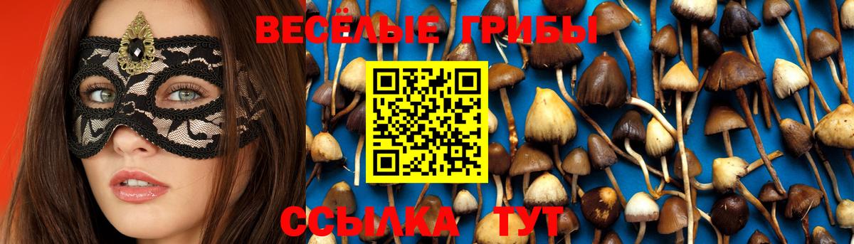 Псилоцибиновые грибы GOLDEN TEACHER  где купить наркотик  Вход с VPN  Чита  Галлюциногенные грибы Cubensis 